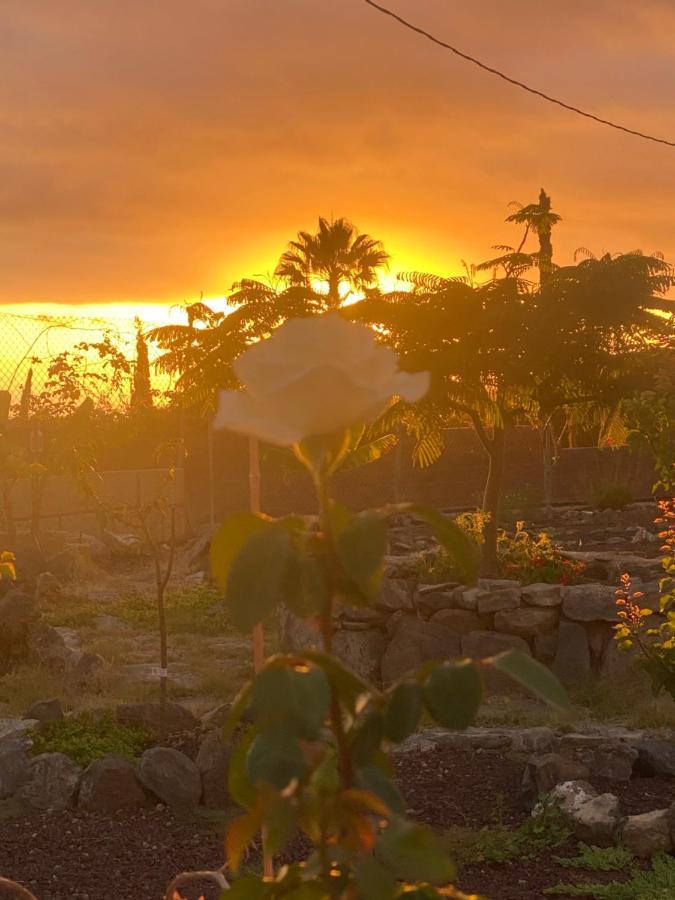 Mini Casa Finca Arcoiris Tenerife Guia de Isora  Bagian luar foto