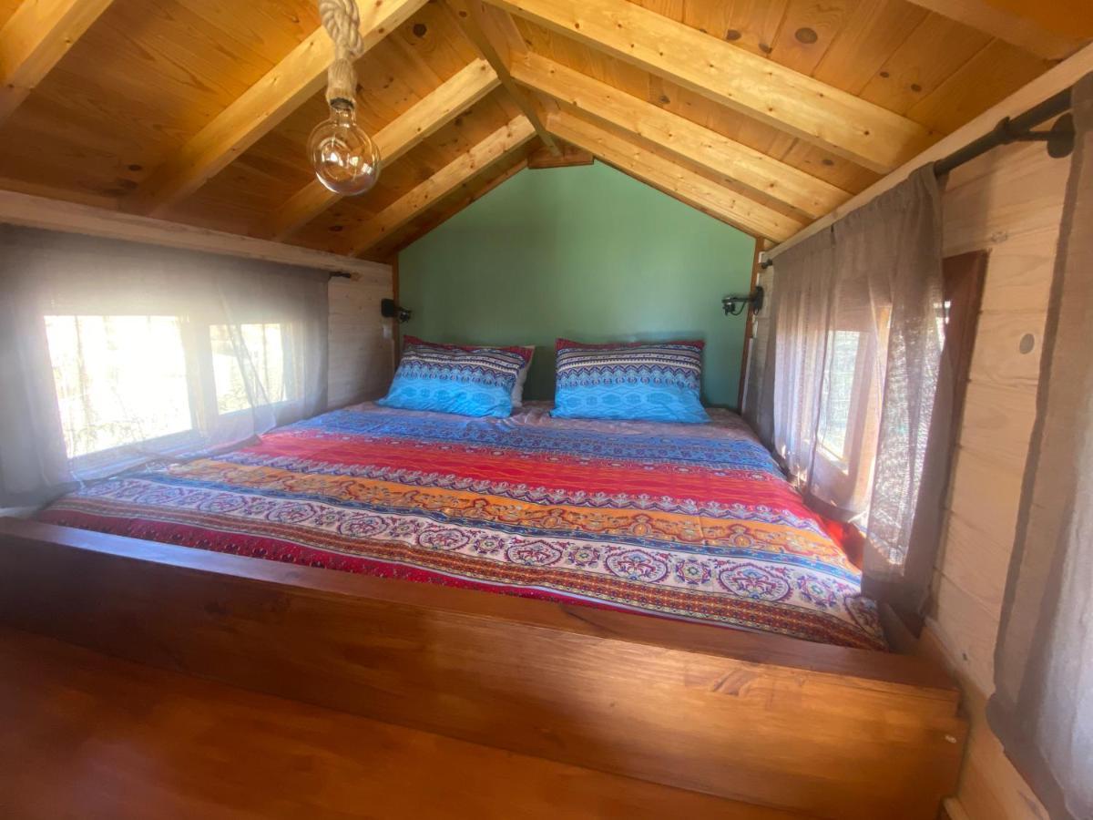 Mini Casa Finca Arcoiris Tenerife Guia de Isora  Bagian luar foto